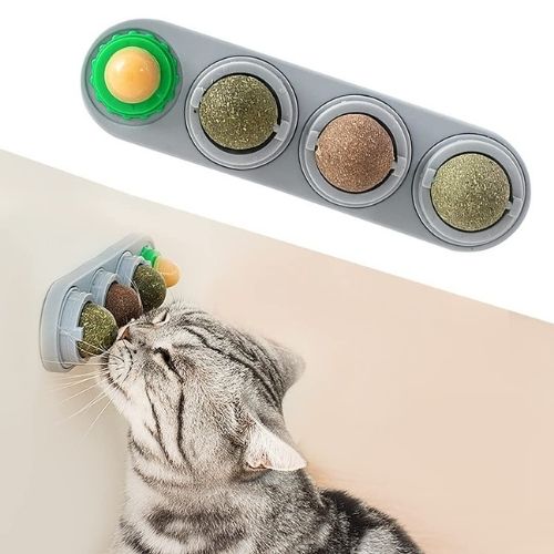 Purrfect Catnip Wall Ball